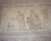 04A4_055_5504 Site Paphos - Mozaieken