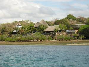 Island Wasini Island, dolfijnen, koralen, blue lagoon ... en diepe miserie.