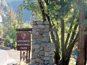 Yosemite NP Als park is Yosemite ouder dan Yellowstone en hier staat echt de wieg van de "Nationale Parken"-gedachte. Op...