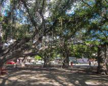 D00_1677 Lahaina - Banyan Tree Park